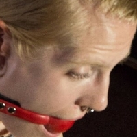 Rachel Greyhound Nøgen